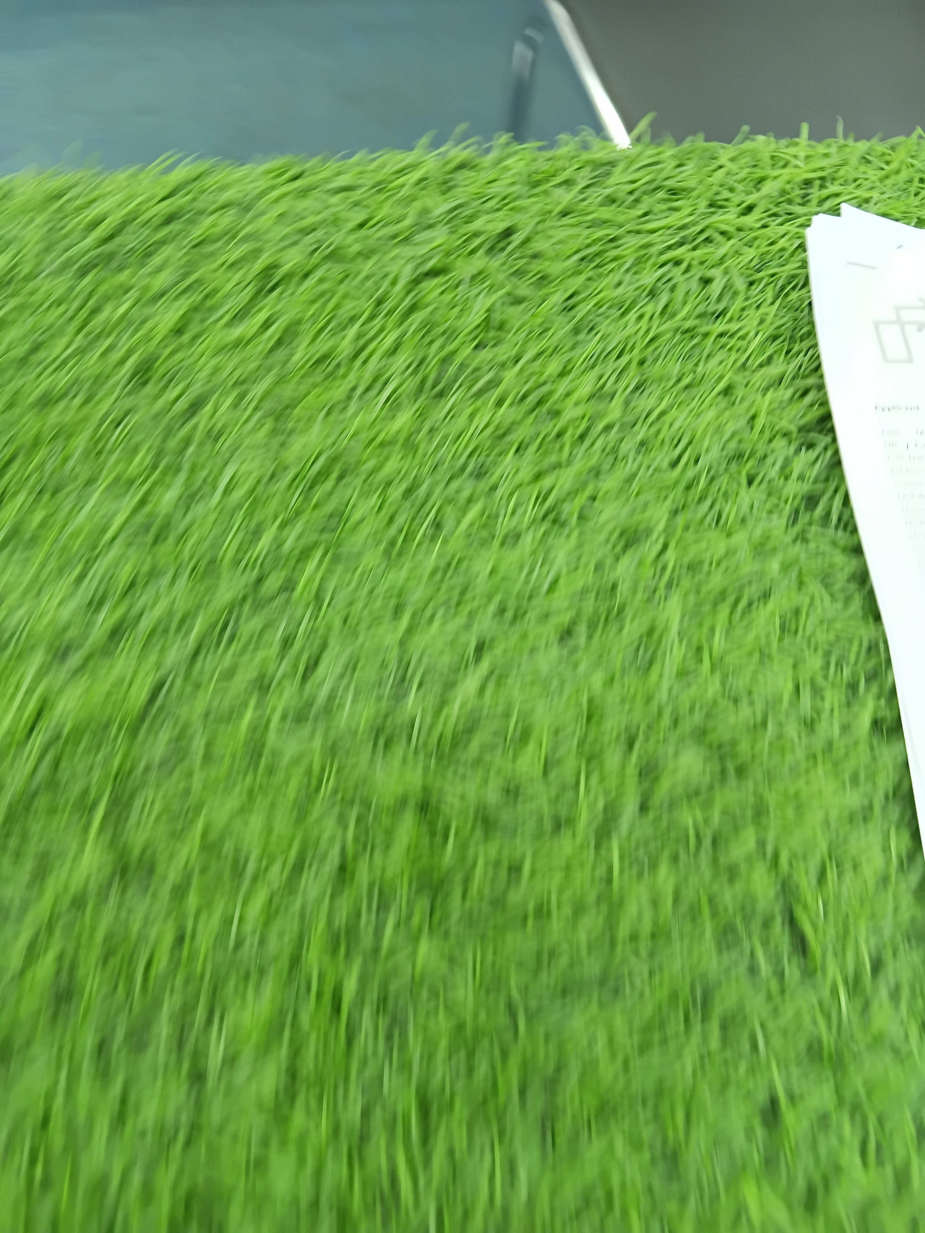 20260313065396.jpg