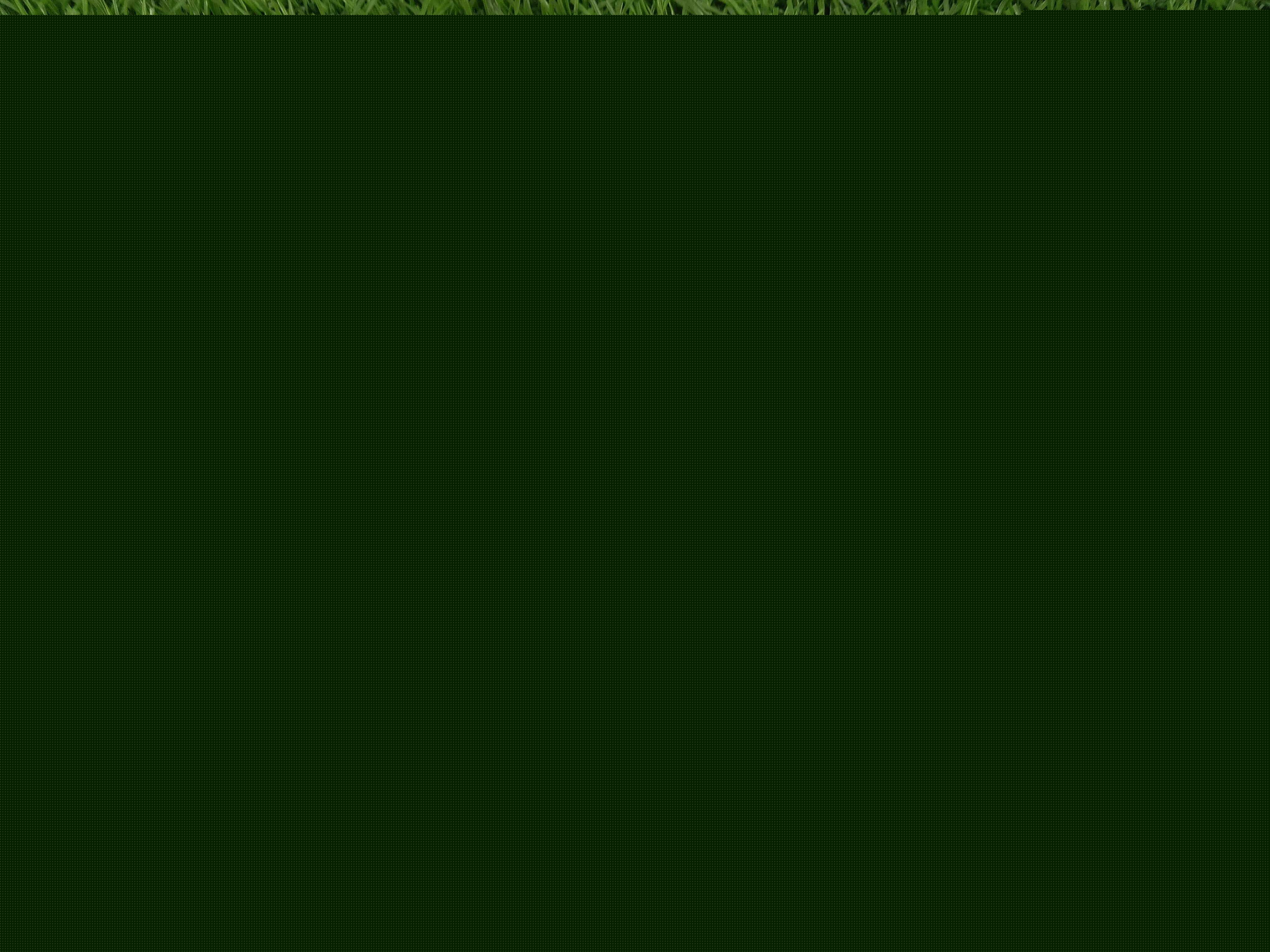 20260529073136.jpg